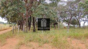 IMG_20210515_095555378