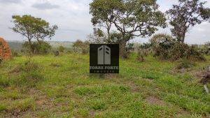IMG_20210515_095632749