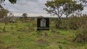 IMG_20210515_095738161_HDR
