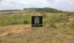 IMG_20210515_095931255
