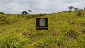 IMG_20210515_101706804