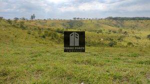 IMG_20210515_103910602