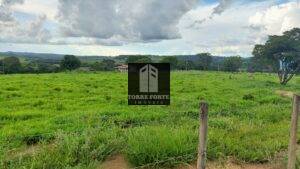 WhatsApp Image 2023-01-26 at 09.29.27 (1)
