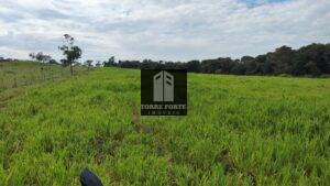 IMG_20230209_084600139