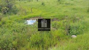 IMG_20230209_091838982